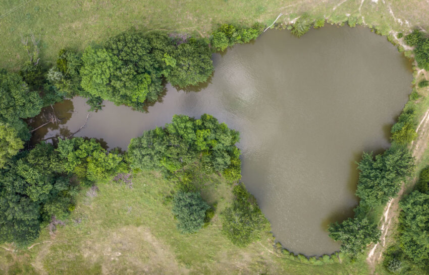 The Ranch on Panther Creek 258 Acre Cattle Ranches Wise County, Texas Image 15